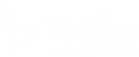 Flyjets Aviation