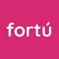 Fortu Holding