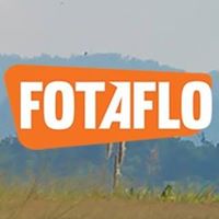 Fotaflo