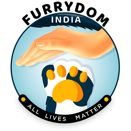 Furrydom India