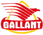 Gallant Intelligence
