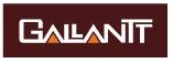 Gallantt Group