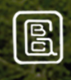 Gbcipl