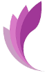 Gemini Solutions