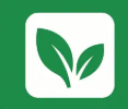 Greenbox