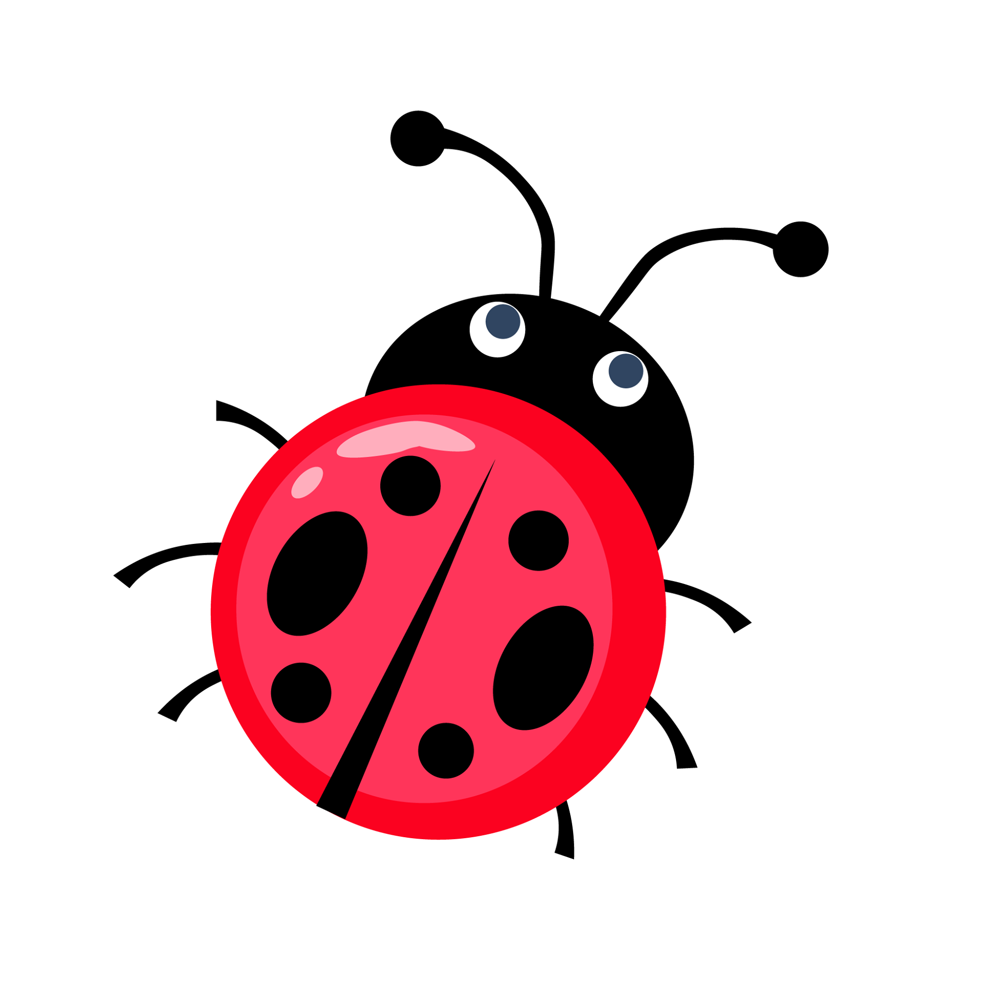 Lovebug