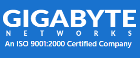 Gigabyte Networks
