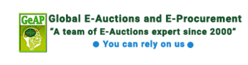 Global E-auction