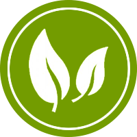 Global Energy