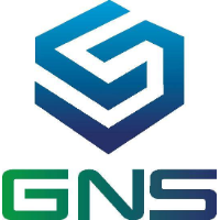 Gns America