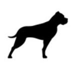 Gp Bullhound