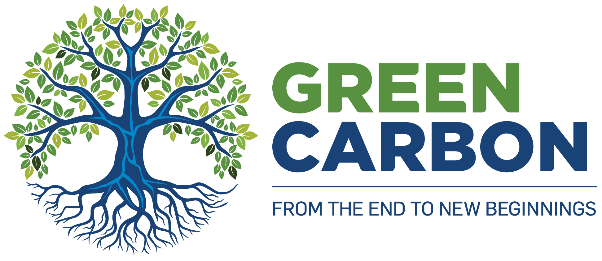 Green Carbon Fuels And Feeds