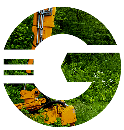 Green Services