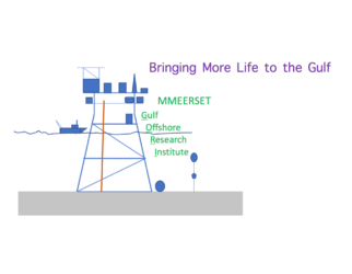 Gulf Offshore Research Institute