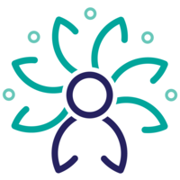 Health Data Analytics Institute