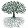 Healthcare Markets Group