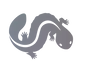 Hellbender Brewing Company