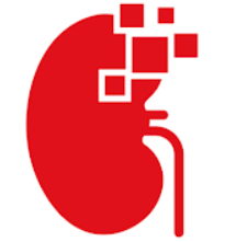 Hellokidney.ai