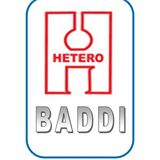 Hetero Group