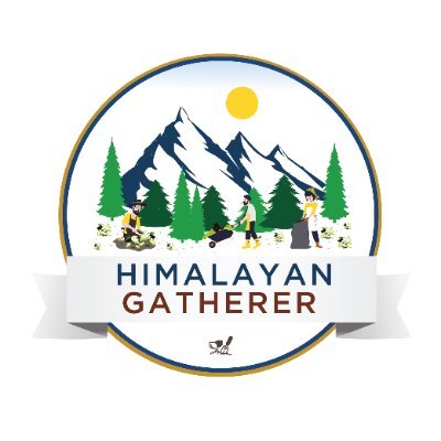 Himalayan Gatherer