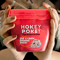Hokeypokey