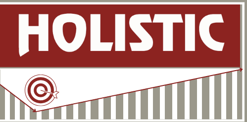 Holisticinvestment.in