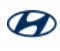 Hyundai Motor India