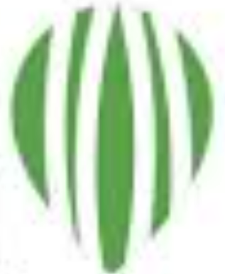 I Am Moringa