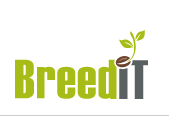 Breedit