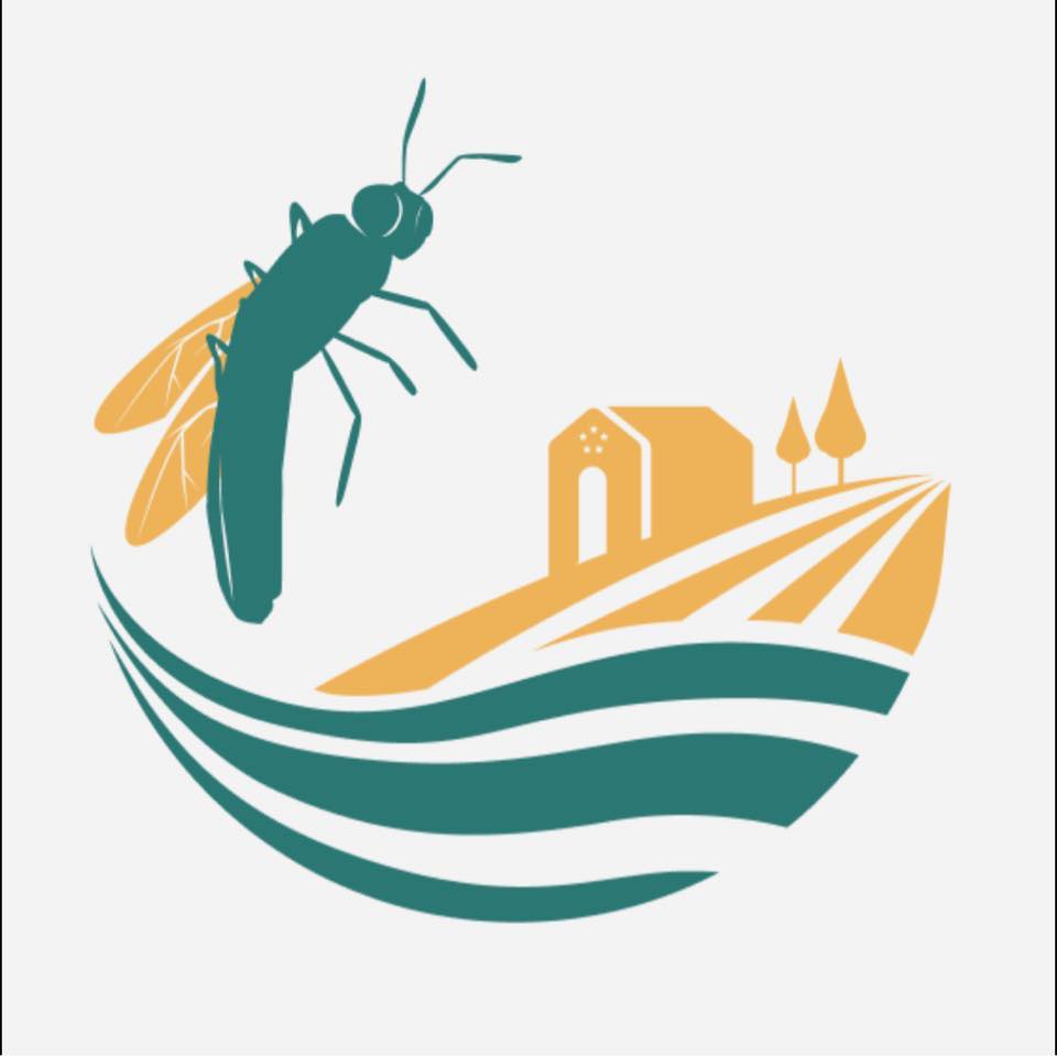 Insect Feed Technologies
