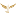 Ijetzz