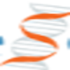 Immunesensor