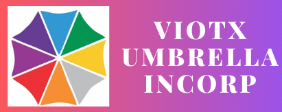 Vu Holding Incorp