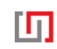 Intellectus Consulting