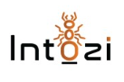 Intozi