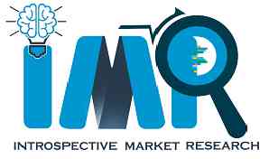 Introspective Market Research