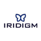 Iridigm Display
