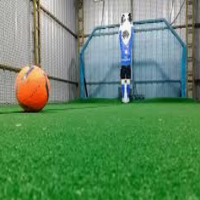 Irobogoalie