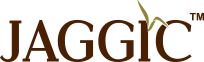 Jaggic