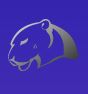 Jaguar Software India