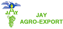 Jay Agro Export