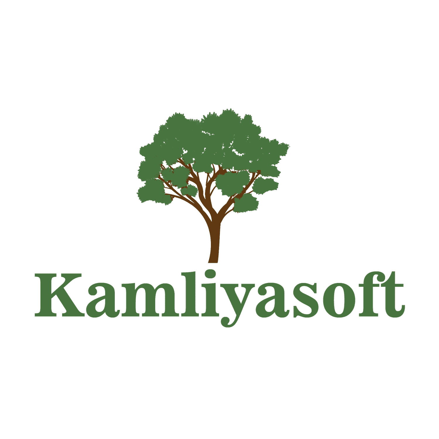 Kamliyasoft