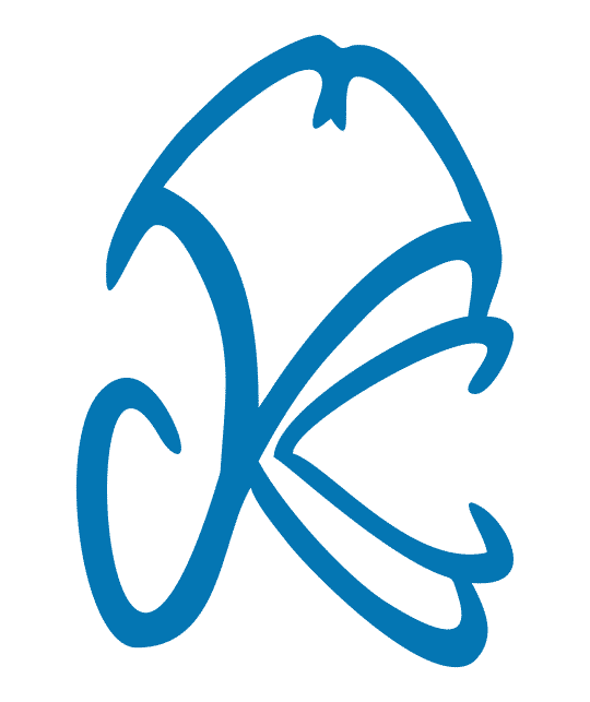 Kavin Corporation