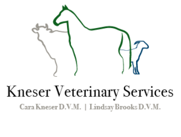 Kneser Veterinary Services