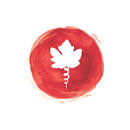 Lakeforest Wines