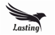 Lasting Software