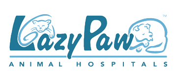 Lazypawvet