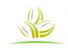Leela Foods