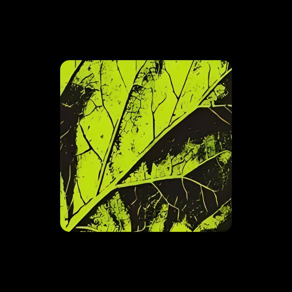 Lemon Labs