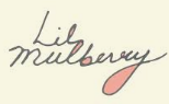 Lil Mulberry
